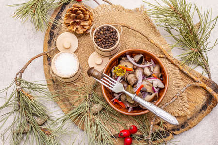 Pickled or fermented mushrooms. Traditional Christmas snack. New Year Festive cutlery. Evergreen pine, cone, spices, chopping board. Stone concrete background, top viewの写真素材