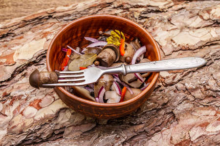 Pickled or fermented mushrooms. Traditional Christmas snack. New Year Festive cutlery. Evergreen pine, cone, spices. Wooden bark backgroundの写真素材