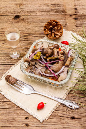 Pickled or fermented mushrooms. Traditional Christmas snack. New Year Festive cutlery. Evergreen pine, cone, spices, glass of vodka. Wooden boards backgroundの写真素材