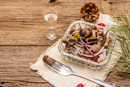 Pickled or fermented mushrooms. Traditional Christmas snack. New Year Festive cutlery. Evergreen pine, cone, spices, glass of vodka. Wooden boards background, copy spaceの写真素材