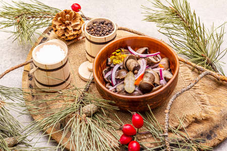 Pickled or fermented mushrooms. Traditional Christmas snack. New Year Festive cutlery. Evergreen pine, cone, spices, chopping board. Stone concrete backgroundの写真素材