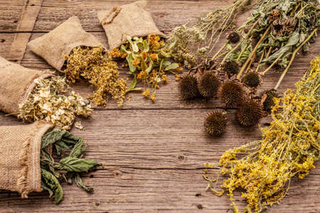 Herbal harvest collection and bouquets of wild herbs. Alternative medicine. Natural pharmacy, self-care concept. Old wooden boards background, copy spaceの写真素材