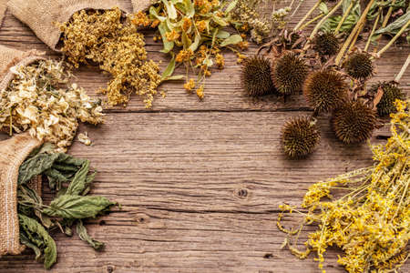 Herbal harvest collection and bouquets of wild herbs. Alternative medicine. Natural pharmacy, self-care concept. Old wooden boards background, copy spaceの写真素材
