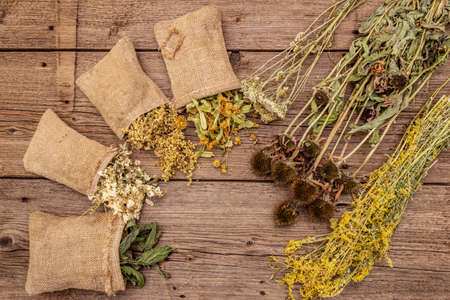 Herbal harvest collection and bouquets of wild herbs. Alternative medicine. Natural pharmacy, self-care concept. Old wooden boards background, copy space, top viewの写真素材