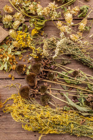 Herbal harvest collection and bouquets of wild herbs. Alternative medicine. Natural pharmacy, self-care concept. Old wooden boards background, close upの写真素材