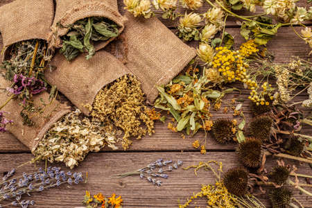 Herbal harvest collection and bouquets of wild herbs. Alternative medicine. Natural pharmacy, self-care concept. Old wooden boards background, copy spaceの写真素材