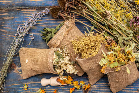 Herbal harvest collection and bouquets of wild herbs. Alternative medicine. Natural pharmacy, self-care concept. Old wooden boards background, top viewの写真素材