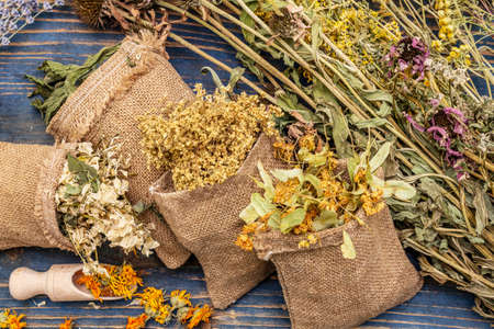 Herbal harvest collection and bouquets of wild herbs. Alternative medicine. Natural pharmacy, self-care concept. Old wooden boards background, close upの写真素材