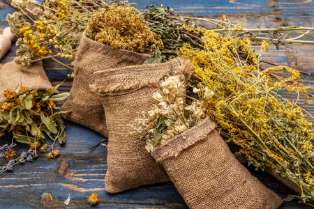 Herbal harvest collection and bouquets of wild herbs. Alternative medicine. Natural pharmacy, self-care concept. Old wooden boards background, close upの写真素材