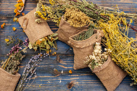 Herbal harvest collection and bouquets of wild herbs. Alternative medicine. Natural pharmacy, self-care concept. Old wooden boards background, top viewの写真素材