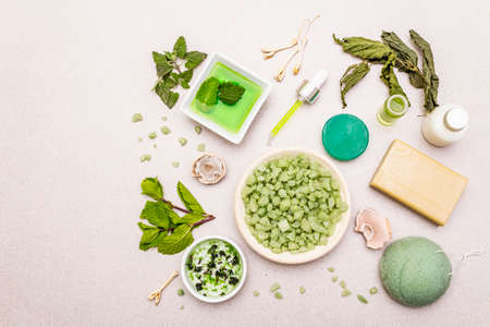 Healthy self-care. Minimalistic organic lifestyle. Comfort and natural pharmacy. Sea salt, herbal oil, dry and fresh leaves. Bowls, stone concrete background, copy spaceの写真素材