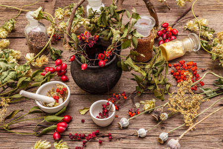 Halloween concept background. Witch bowler, mistletoe, elderberry. Dry herbs, flowers, fresh berries. Mortar and pestle, seeds, old wooden boards.の写真素材