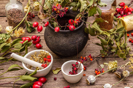 Halloween concept background. Witch bowler, mistletoe, elderberry. Dry herbs, flowers, fresh berries. Mortar and pestle, seeds, old wooden boards.の写真素材