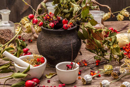 Halloween concept background. Witch bowler, mistletoe, elderberry. Dry herbs, flowers, fresh berries. Mortar and pestle, seeds, old wooden boards.の写真素材