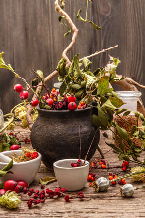 Halloween concept background. Witch bowler, mistletoe, elderberry. Dry herbs, flowers, fresh berries. Mortar and pestle, seeds, old wooden boards.の写真素材