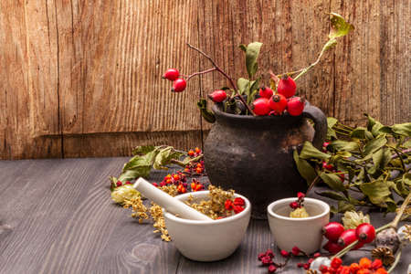 Halloween concept background. Witch bowler, mistletoe, elderberry. Dry herbs, flowers, fresh berries. Mortar and pestle, seeds, old wooden boards, copy spaceの写真素材