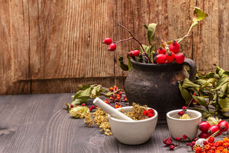 Halloween concept background. Witch bowler, mistletoe, elderberry. Dry herbs, flowers, fresh berries. Mortar and pestle, seeds, old wooden boards, copy spaceの写真素材