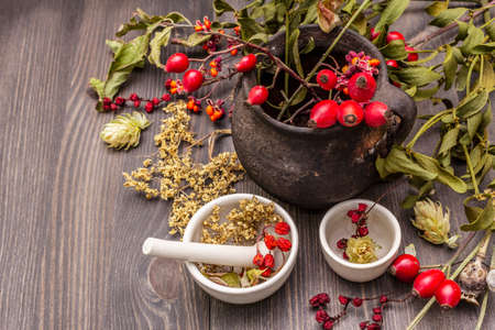 Halloween concept background. Witch bowler, mistletoe, elderberry. Dry herbs, flowers, fresh berries. Mortar and pestle, seeds, old wooden boards, copy spaceの写真素材