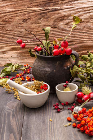 Halloween concept background. Witch bowler, mistletoe, elderberry. Dry herbs, flowers, fresh berries. Mortar and pestle, seeds, old wooden boards, copy spaceの写真素材