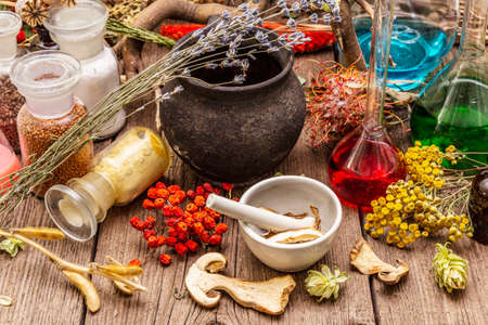 Witch's Laboratory. Alchemical equipment, apothecary treatment. Mortar and pestle, bottles, powders, dry herbs. Halloween concept, old wooden boards backgroundの写真素材