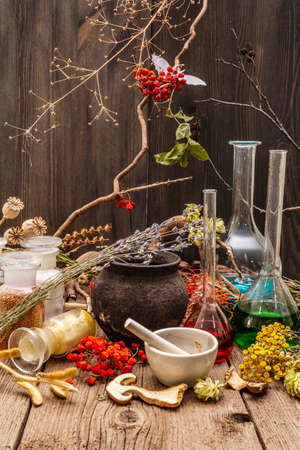 Witch's Laboratory. Alchemical equipment, apothecary treatment. Mortar and pestle, bottles, powders, dry herbs. Halloween concept, old wooden boards backgroundの写真素材