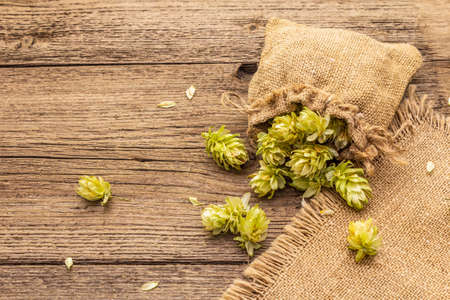 Whole hops in bag on wooden old table. Brewery. Beer ingredients. Sack of hops on vintage boards background. Alternative medicine, copy space, close upの写真素材
