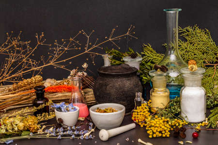 Halloween concept. Alchemy laboratory of the witch. Flasks, retorts, cauldron, mortars and pestle, powders, dried herbs, berries. Black stone backgroundの写真素材