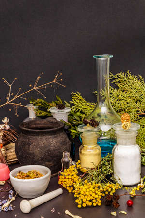 Halloween concept. Alchemy laboratory of the witch. Flasks, retorts, cauldron, mortars and pestle, powders, dried herbs, berries. Black stone backgroundの写真素材