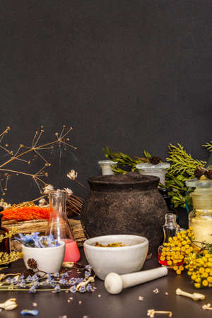 Halloween concept. Alchemy laboratory of the witch. Flasks, retorts, cauldron, mortars and pestle, powders, dried herbs, berries. Black stone background, close upの写真素材