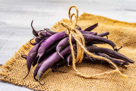 Freshly purple beans in pods. Ingredient for cooking vegan (vegetarian) dishes. Healthy eating...