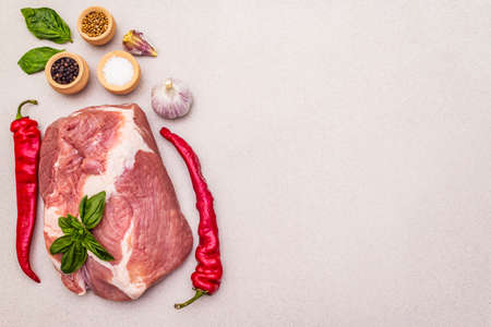 Raw pork meat sirloin with fresh vegetables and dry spice. Animal protein healthy cooking concept. Chili and black pepper, garlic, basil, sea salt. Light stone concrete background, copy space top viewの写真素材