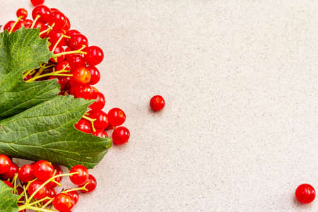 Fresh red viburnum berries with green leaves on branches. Autumn harvest, healthy raw ingredient for...