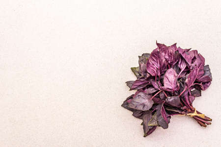 Fresh organic herb purple basil. Flat lay cooking concrete stone background, healthy food concept, copy space, top viewの写真素材