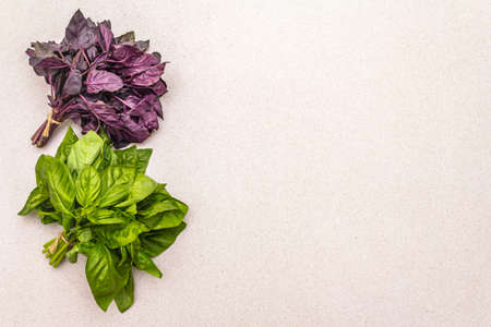 Fresh assorted organic herbs: two types of basil - green and purple. Flat lay cooking concrete stone background, healthy food concept, copy space, top viewの写真素材