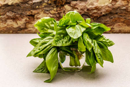 Fresh organic herb green basil. Flat lay cooking concrete stone background, healthy food concept. Wooden bark backgroundの写真素材
