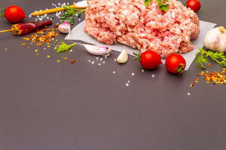 Raw organic minced pork. Spices, vegetables, fresh greens. Cooking stone background, copy spaceの写真素材