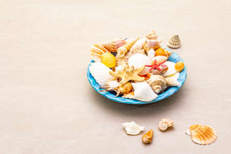 Seashells summer background. Lots of different seashells piled together in blue plate, copy spaceの写真素材
