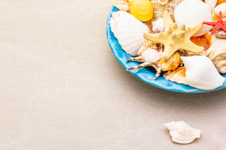 Seashells summer background. Lots of different seashells piled together in blue plate, copy space, close upの写真素材