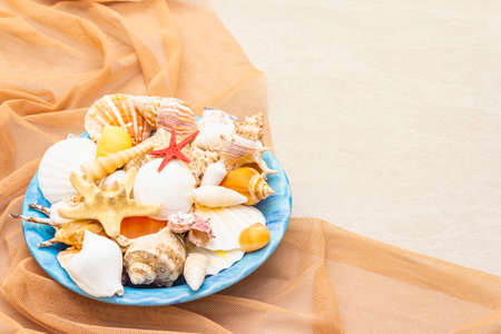 Seashells summer background. Lots of different seashells piled together in blue plate with knitted mesh, copy spaceの写真素材