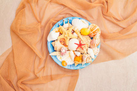 Seashells summer background. Lots of different seashells piled together in blue plate with knitted mesh, copy space, top view, flat layの写真素材