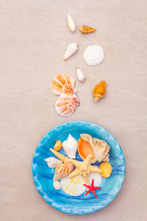 Seashells summer background. Lots of different seashells piled together in blue plate, top view, close upの写真素材