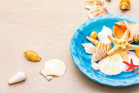 Seashells summer background. Lots of different seashells piled together in blue plate, copy space, close upの写真素材