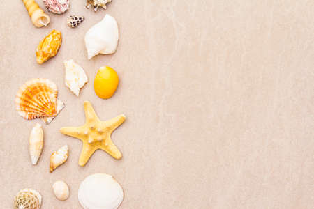 Seashells summer background. Lots of different seashells piled together. For card, frame, flat lay, copy space, top viewの写真素材