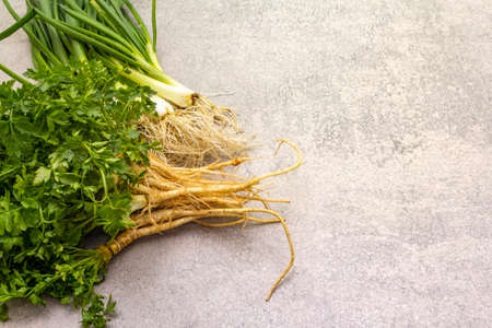 A bunch of fresh green onions and parsley. Healthy vegetarian (vegan) food concept, ingredients for cooking. On a stone background, copy spaceの写真素材