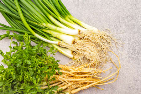 A bunch of fresh green onions and parsley. Healthy vegetarian (vegan) food concept, ingredients for cooking. On a stone background, top view, close upの写真素材