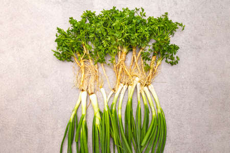A bunch of fresh green onions and parsley. Healthy vegetarian (vegan) food concept, ingredients for cooking. On a stone background, top viewの写真素材