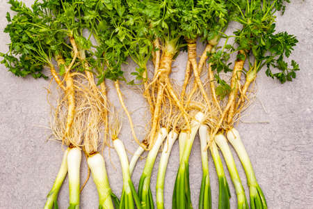 A bunch of fresh green onions and parsley. Healthy vegetarian (vegan) food concept, ingredients for cooking. On a stone background, top view, close upの写真素材