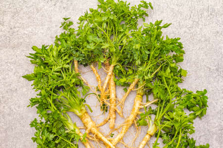 Composition from fresh green parsley. Healthy vegetarian (vegan) food concept, ingredients for cooking. On a stone background, top view, close upの写真素材