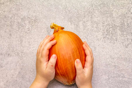 Giant onion bulb in child hands on a stone background. Food cooking background, close upの写真素材