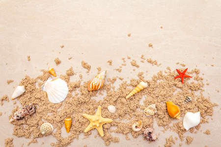 Seashells sandy summer background. Lots of different seashells piled together, copy space, frame, top viewの写真素材